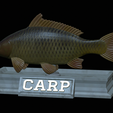 carp-statue-16.png fish carp / Cyprinus carpio statue detailed texture for 3d printing