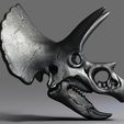 Triceratops Skull Render (3).jpg Triceratops Skull