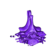 spinal cord tracts with vertebrae labelled.stl Spinal Tracts cord vertebrae labelled 3D model