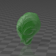 Screenshot_20230224_052032.png Alien Head