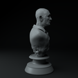 7.png Mike Ehrmantraut Breaking Bad Premium 3D Bust STL