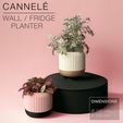 CANNELE_Pink.jpg CANNELÉ  |  Wall / Fridge Planter