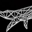 b3.jpg WHALE 2D
