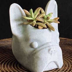 3A0577AE-15AB-407D-9285-2BF63CDF33D5.jpeg 3D file CUTE FRENCH BULLDOG PLANTER / PEN HOLDER / CONTAINER・3D print design to download, Ivankahl3D