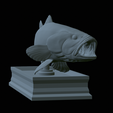 Bass-mouth-2-statue-4-21.png fish Largemouth Bass / Micropterus salmoides in motion open mouth statue detailed texture for 3d printing