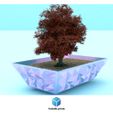 178.jpg bonsain pots complete collection (1-2-3-4-5-6)
