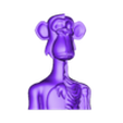 BAYC-SKULL.obj Bored Ape Bust - Anatomy