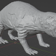 Captura-de-pantalla-2023-08-15-062910.png Arche-Ratte