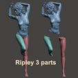 5. Ripley 3 parts.jpg Ripley’s Pet- by SPARX