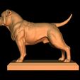 4.jpg American Bulldog Johnson - classic