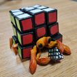 RubiksCrab.jpg Rätselkrabbe