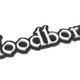 Bloodborne-keychan.jpg Bloodborne Logo Keychan Key Chain