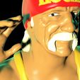 hogan.374.jpg Hulk Hogan