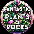 fantasticplantsandrocks