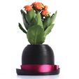 SAM_0392.jpg Bowler Hat Mini Plant Pot for Succulent&Cactus