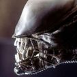Alien-6.jpg Alien: Xenomorph - Framed lithograph