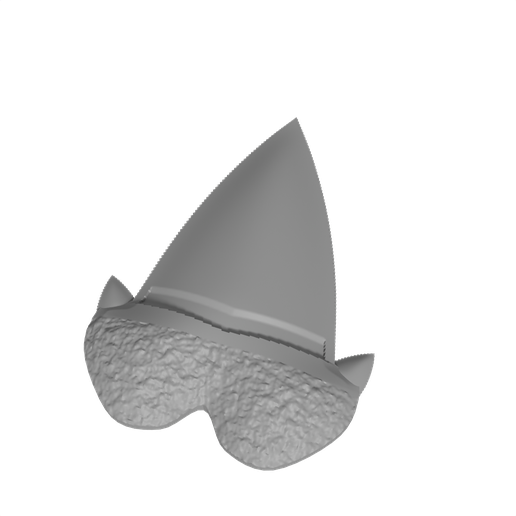 Angustidens Shark Tooth Replica - Oligocene Fossil