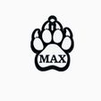 12222.jpg MAX (DOG TAG)