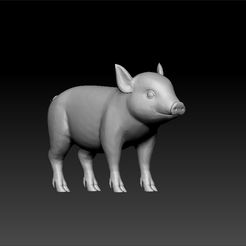 mi_pig1.jpg Pig -Cute pig - realistiv pig - pig 3d model