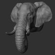 30.jpg Elephant head