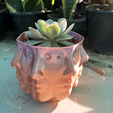 Hero-Image.png PolyFace Planter