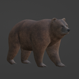 Capture-d’écran-2023-06-25-à-14.07.15.png bear and polar bear