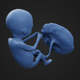 18weeks_4.png 18 weeks fetus