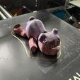 flexi bear