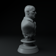 7.png Breaking Bad Complete Premium 3D Bust Pack STL