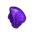 LEFT CEREBELLUM.stl Modèle de cerveau en 3D avec hémisphère, tronc cérébral, cervelet et système artériel et veineux très détaillé, y compris le cercle de Willis.