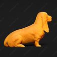 1117-Basset_Hound_Pose_05.jpg Basset Hound Dog 3D Print Model Pose 05