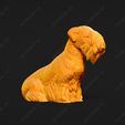 3391-Cesky_Terrier_Pose_04.jpg Cesky Terrier Dog 3D Print Model Pose 04