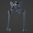 h2.png Hip Replacement model