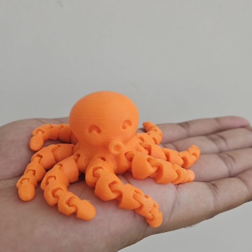 Cute Mini Octopus