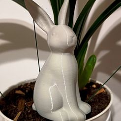 IMG20240213200328.jpg Easter Rabbit Figurine Model for Printing – Perfect for Painting and Decorating!