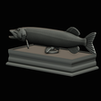 northern-pike-statue-box-1-2-1-32.png fish NORTHERN PIKE (ESOX LUCIUS) open mouth with storage space / for 3d printing