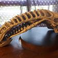 199088092_10158119297797314_1745714565986187218_n.jpg STL file Alien Skull・3D printing template to download