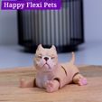 IMG_2872-1.jpg American Bully dog - flexi print in place toy by Happy Flexi pets (Updated!)