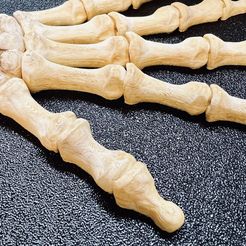 Flexi Print-in-Place Skeleton Hand
