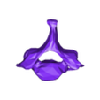 VertebralColumn35.stl Skeleton vertebral column torso bones (90 bones)