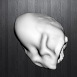 Defi4.png Human skull