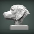 Golden_retriever3.jpg Golden retriever 3D print model