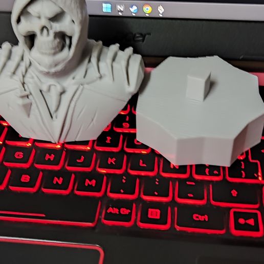 1676516304710.jpg crânio