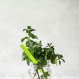 SITUATION-PIC-A-MENTHE-4.jpg Mint" plant marker - 3D STL file for printing | Aromatic picks | Indoor garden & kitchen garden