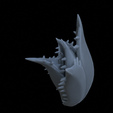 Terrain_Plant_Agave_04.png AGAVEPLANTS FOR TERRAIN DIORAMA TABLETOP 1/35