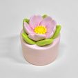IMG_1959.jpg Cute Trinket Box with a Flower Lid