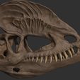 ZBrush-Document3.jpg Dilophosaurus Skull