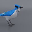 Jay-Side1.png Standing Blue Jay