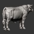 Bull8.jpg Bull 3D print model