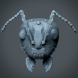 ant-god-mask4.png Ant God Mask STL